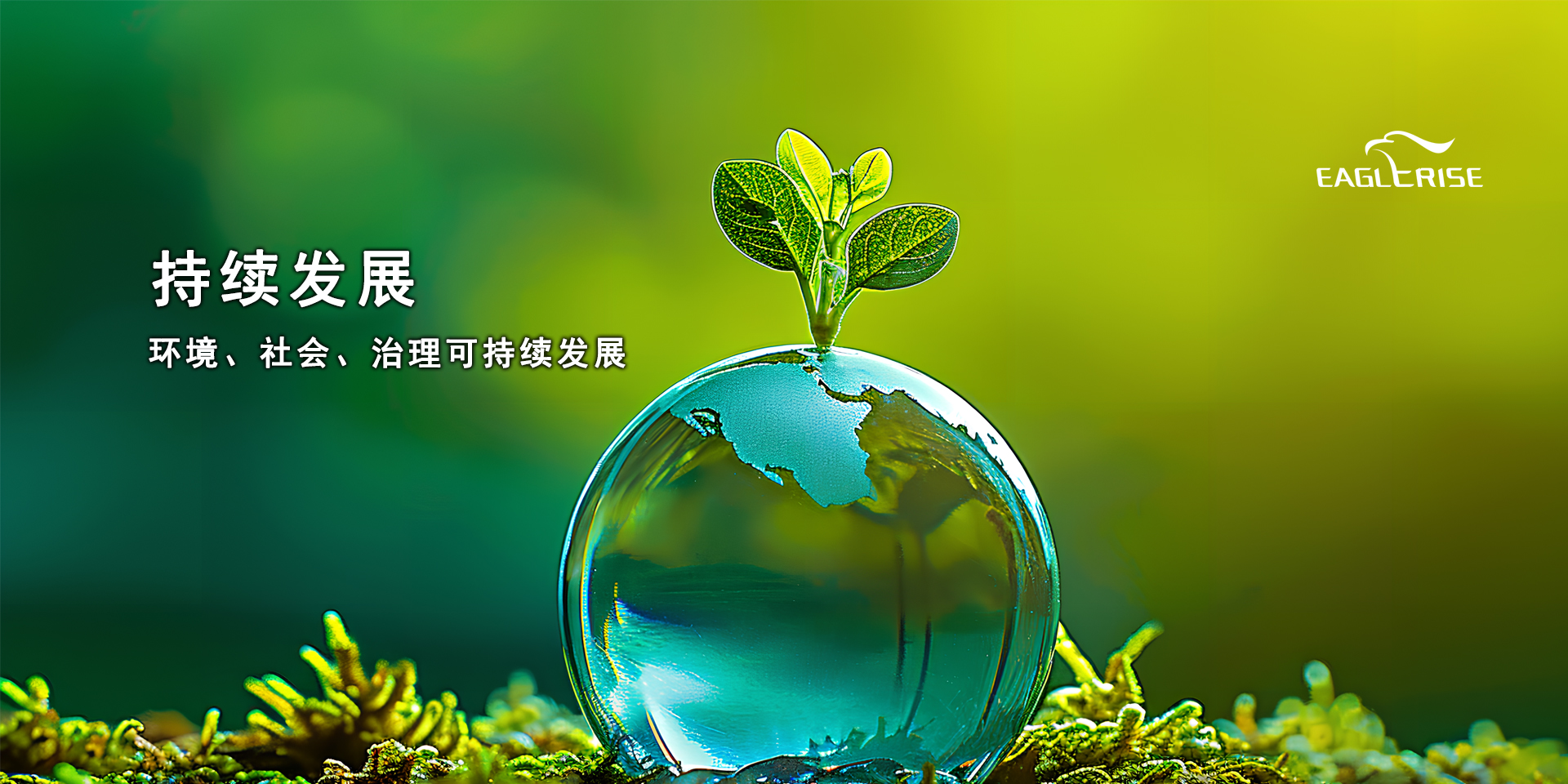 lewin乐玩官网-相信品牌力量
